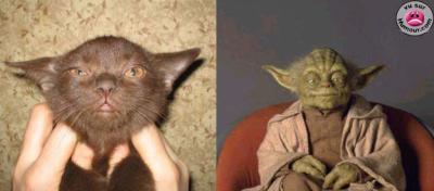 kay chebho welad ????????